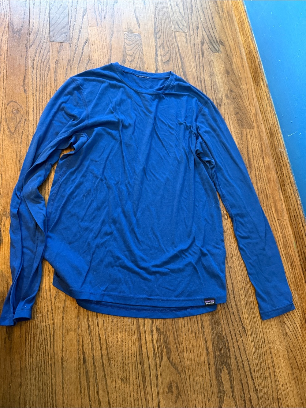 Patagonia Royal Blue Long-Sleeve Crewneck Shirt